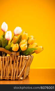 Bouquet of colorful tulips on the table