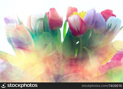 bouquet of colorful tulips / spring flowers, bright beautiful flowers, spring gift concept