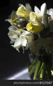 bouquet of daffodils on a dark background 