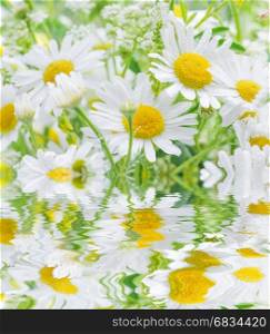 Bouquet of daisies covered dew drops closeup reflected in a water surface with small waves
