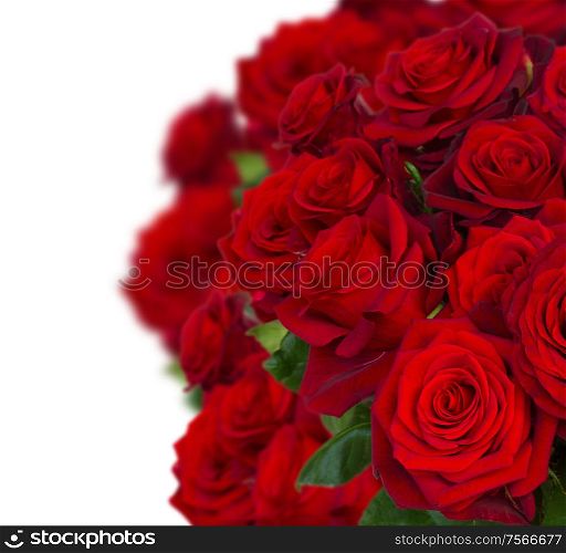 bouquet of dark red roses close up on white background. bouquet of dark red roses in vase close up