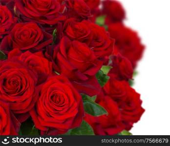 bouquet of dark red roses close up on white background. bouquet of dark red roses in vase close up