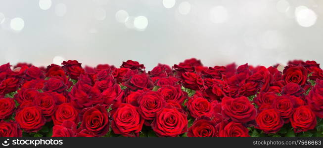 bouquet of dark red roses wide banner on gray background. bouquet of dark red roses close up