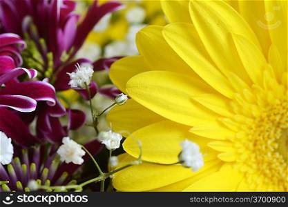 bouquet of different flowers with yellow gerbera