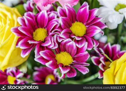 Bouquet of different flowers (yellow rose and maroon chrysanthemum) close-up