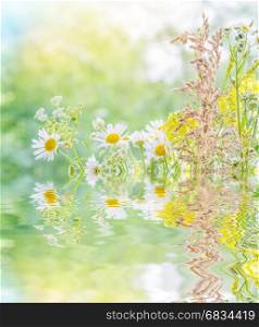 Bouquet of different multicolored wildflowers closeup outdoors on blurred nature background reflected in a water surface with small waves, with copy-space