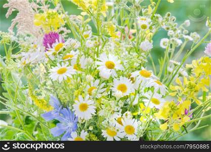Bouquet of different wildflowers closeup
