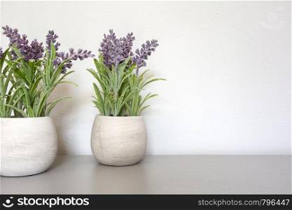 Bouquet of dry lavender in ceramic pot with white wall. Copy space for text. modern design. Bouquet of dry lavender in ceramic pot with white wall. Copy space for text.