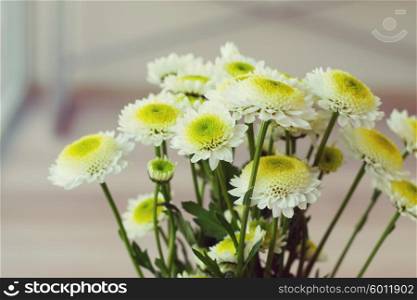 bouquet of flowers. chrysanthemum