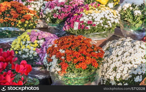 Bouquet of flowers in a street market