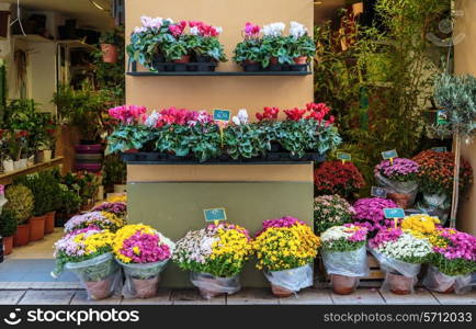 Bouquet of flowers in a street market