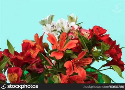 bouquet of flowers on a light green background. Beautiful bouquet of red and white Alstroemeria