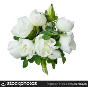 Bouquet of fragrant flowers of white dog-roses on a white background