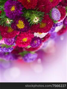 bouquet of fresh aster flowers on violet bokeh background