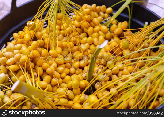 Bouquet of fresh date palm tree (Phoenix dactylifera) on tree in the organic farm.