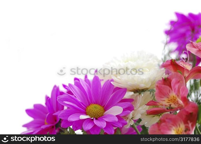 Bouquet of fresh flowers on white background with copy space