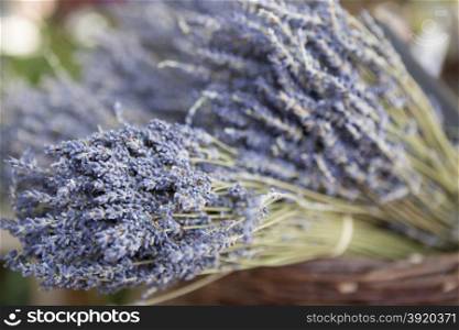 Bouquet of fresh lavender in a basket. Bouquet of fresh lavender in a basket.