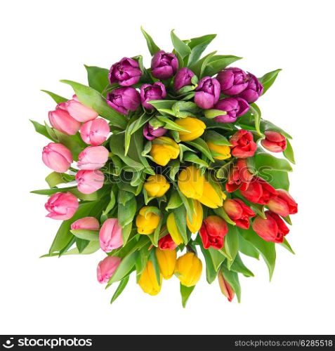 bouquet of fresh multicolor tulips isolated on white background. spring flowers. top view