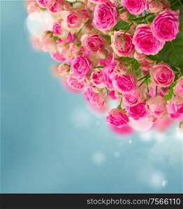 bouquet of fresh pink roses on blue bokeh background. bouquet of pink roses