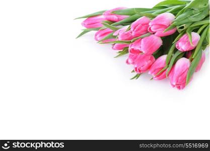 bouquet of fresh pink tulips