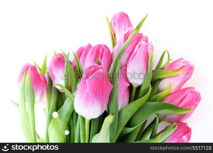 bouquet of fresh pink tulips