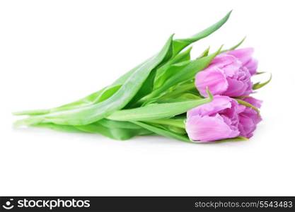 bouquet of fresh pink tulips