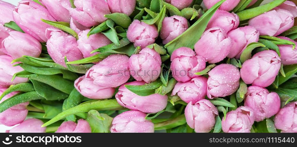 Bouquet of fresh pink tulips flowers covered with dew drops close-up