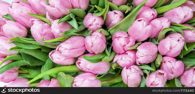 Bouquet of fresh pink tulips flowers covered with dew drops close-up