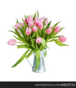 Bouquet of fresh pink tulips flowers covered with dew drops in metallic vase close-up, isolated on white background