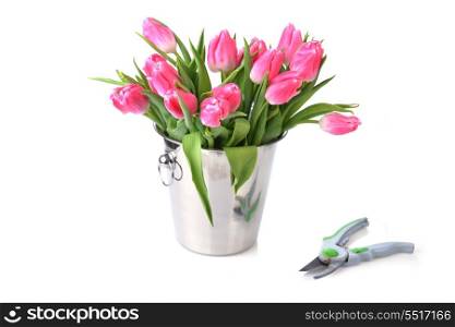 bouquet of fresh pink tulips in metal bucket