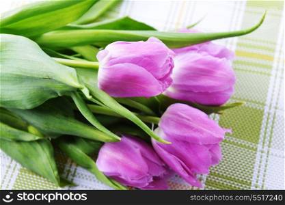 bouquet of fresh pink tulips on green napkin