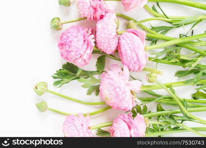 Bouquet of fresh ranunculus flowers on white background. Flat lay, top view scene.. Ranunculus flat lay composition