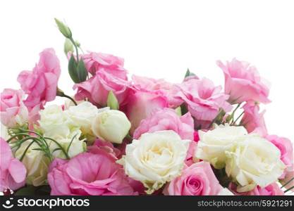 bouquet of fresh roses. border of pink and white fresh roses and eustoma flowers isolated on white background