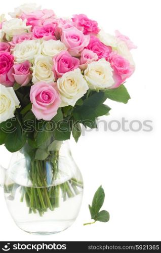bouquet of fresh roses. bouquet of pink and white fresh roses in vase close up isolated on white background