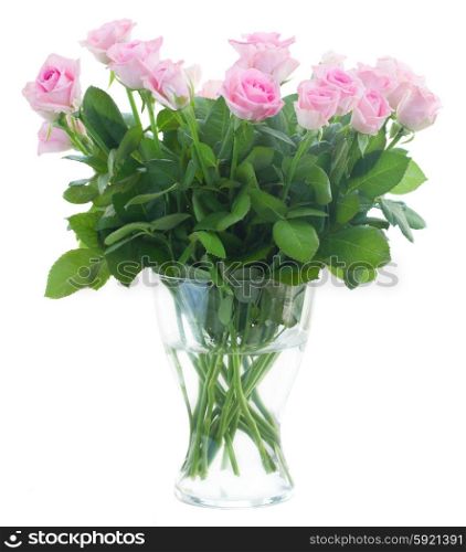 bouquet of fresh roses. bouquet of pink fresh roses in glass vase isolated on white background