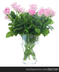 bouquet of fresh roses. bouquet of pink fresh roses in glass vase isolated on white background