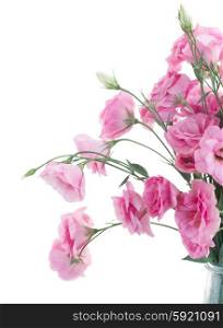 bouquet of fresh roses. bunch of pink eustoma flowers close ups isolated on white background