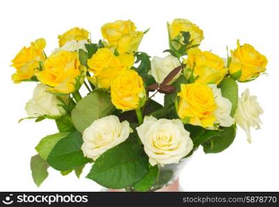 bouquet of fresh roses. bunch of yellow and white fresh roses close up isolated on white background