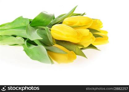 bouquet of fresh yellow tulips on table