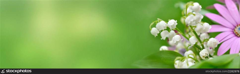 bouquet of freshness flowers with lily of the valley blooming on green background in panoramic view
