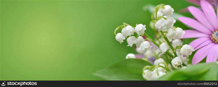 bouquet of freshness flowers with lily of the valley blooming on green background in panoramic view  