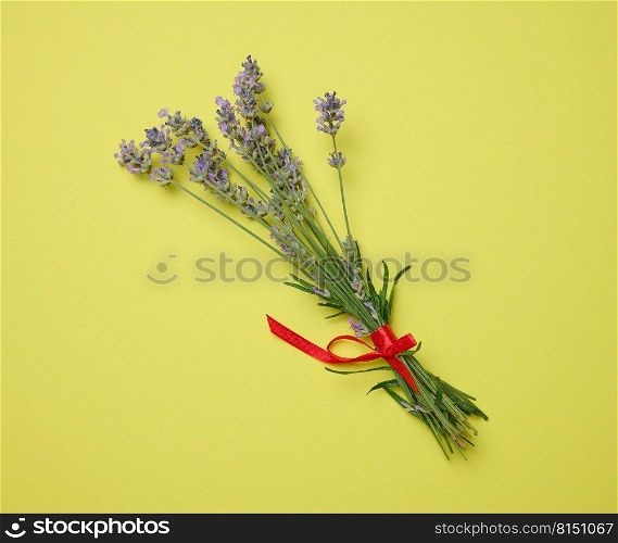 Bouquet of lavender tied with a red ribbon on a green background, top view