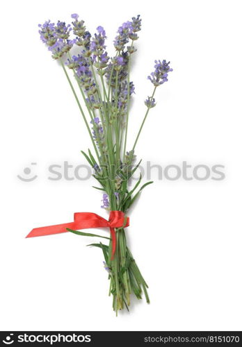 Bouquet of lavender tied with red ribbon isolated on white background, top view
