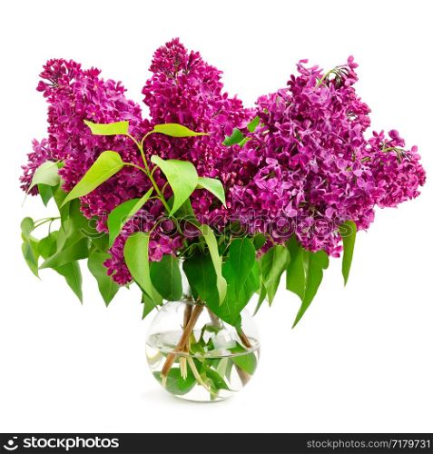Bouquet of lilac in a glass vase isolated on white background.