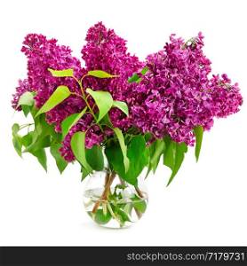 Bouquet of lilac in a glass vase isolated on white background.