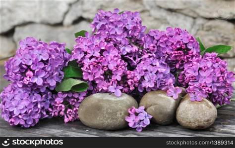 bouquet of lilac on pebbles