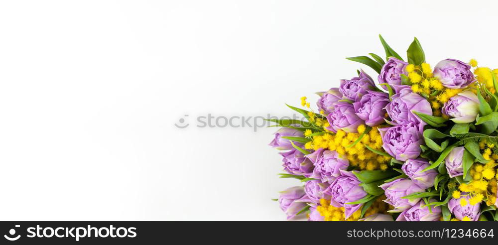 Bouquet of lilac tulips and yellow mimosas on white background, copy space, side view, closeup. March 8, February 14, birthday, Valentine?s, Mother?s, Women?s day celebration, spring concept. Banner.