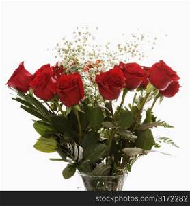 Bouquet of long-stemmed red roses with baby&acute;s breath against white background.
