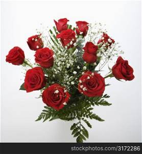Bouquet of long-stemmed red roses with baby&acute;s breath against white background.
