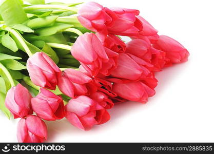 bouquet of many red tulips